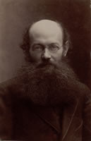 Image1